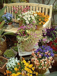 DSCF3962.jpg