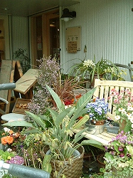 たさき茅ヶ崎.jpg