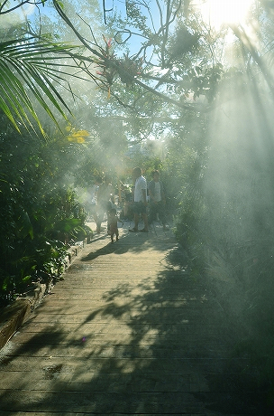 BARエリア入口 ミストジャングル red brick resort 2012.jpg