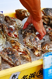 小名浜 生カキ.jpg