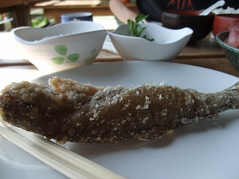 瓢禄玉 ますのからあげ.jpg