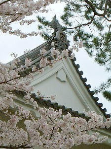 DSCF0006.jpg