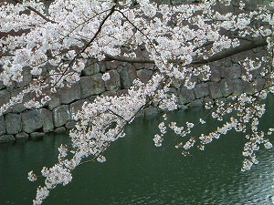 DSCF0024.jpg