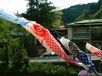 DSCF0452.jpg