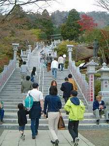 DSCF0480.jpg