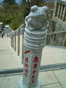 DSCF0483.jpg