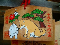 DSCF0496.jpg