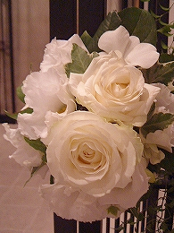DSCF1746.jpg
