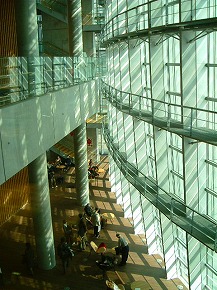 DSCF7005.jpg