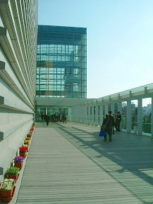 DSCF7017.jpg