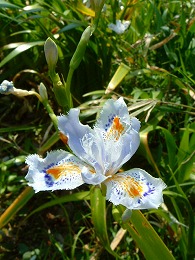DSCF8257.jpg