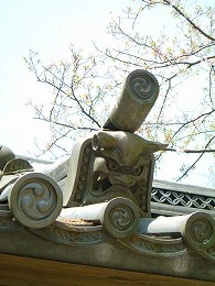 DSCF8305.jpg