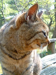 DSCF8356.jpg