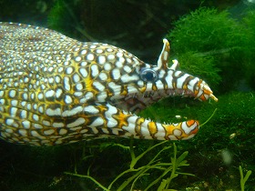 DSCF9854.jpg