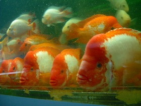 DSCF9755.jpg