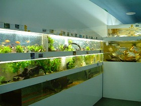DSCF9886.jpg