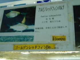 DSCF9887.jpg