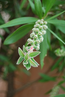 DSC_0180.jpg