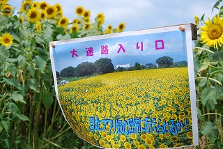 DSC_1064.jpg