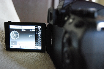 ニコン D5100バリアングル液晶モニター.jpg