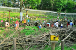 リスの放飼場 町田リス園.jpg