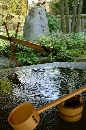 手水舎 神嶽山神苑 寒川神社.jpg