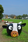 牛のラップサイレージ 牧草ロール モーモー広場 家畜に親しむつどい.jpg