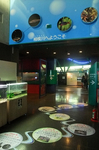 相模川へようこそ 相模原ふれあい科学館.jpg