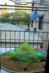 9月 狩野哲郎 自然の設計 黄金町バザール2011.jpg
