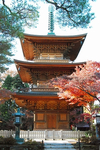 三重の塔 豪徳寺.jpg